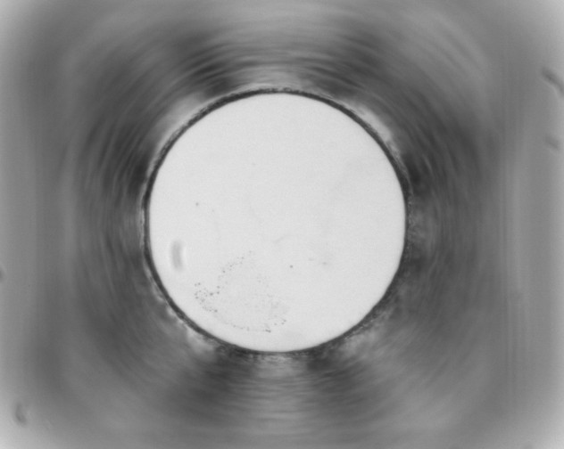 X0000096430807200801241337