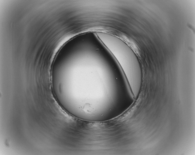 X0000096430808200801241337
