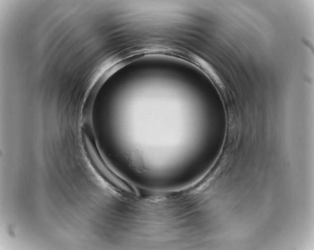 X0000096430810200801241337