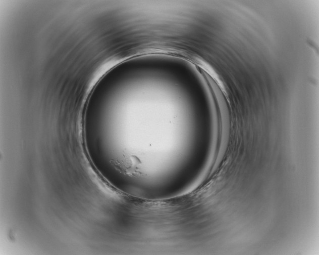 X0000096430811200801241337
