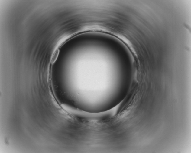 X0000096430815200801241337