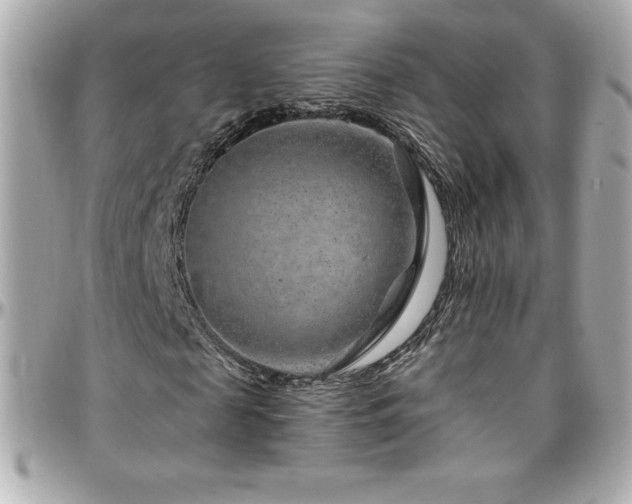 X0000096430817200801241336