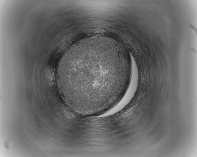 X0000096430818200801241336