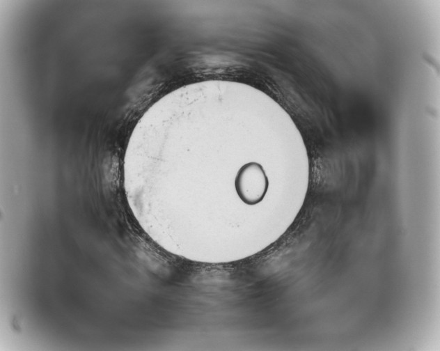 X0000096430820200801241336