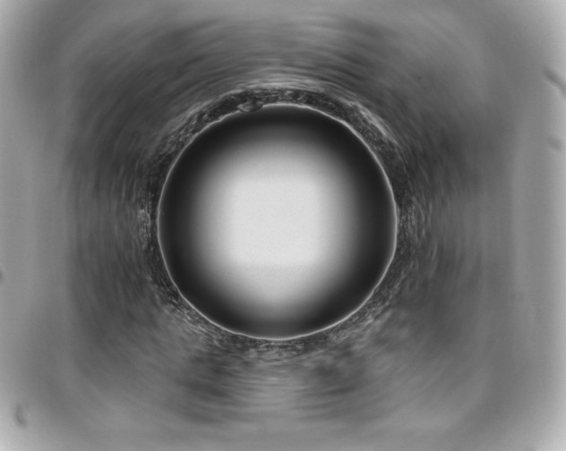 X0000096430821200801241336