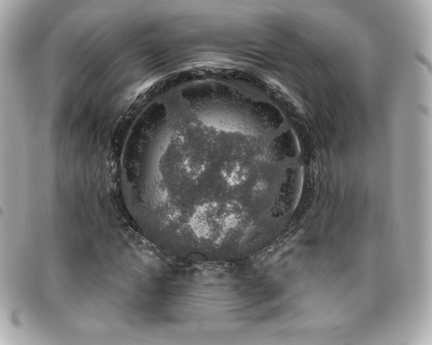 X0000096430822200801241336