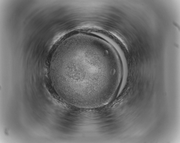 X0000096430823200801241336