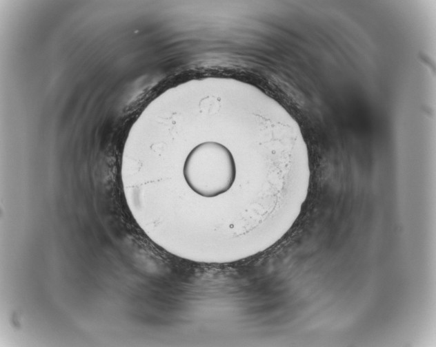 X0000096430824200801241336