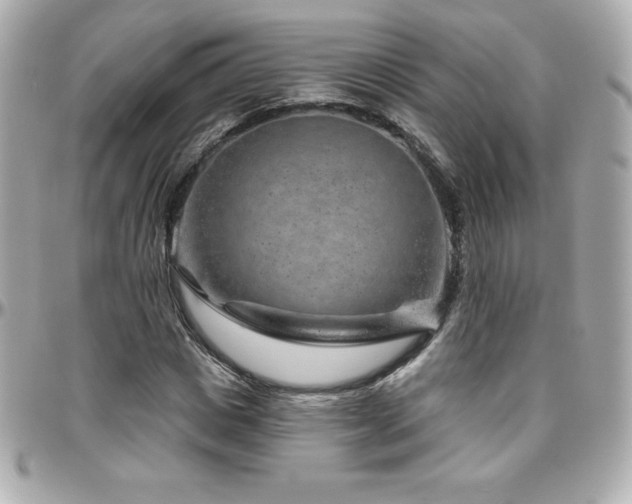 X0000096430825200801241336