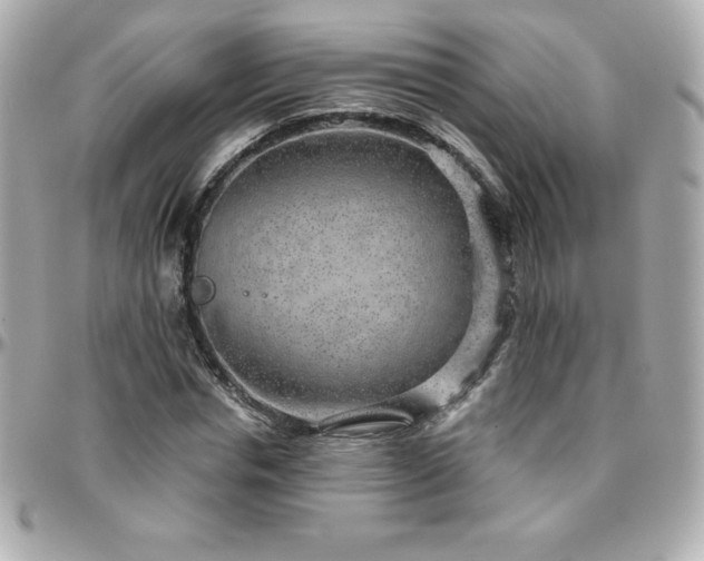 X0000096430826200801241336