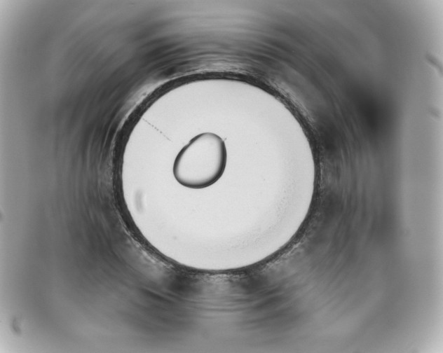 X0000096430828200801241336