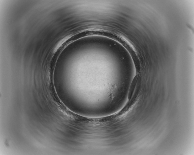 X0000096430829200801241336