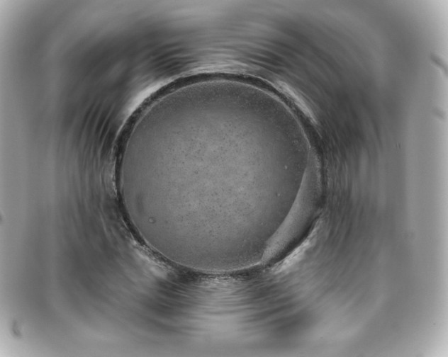 X0000096430830200801241336