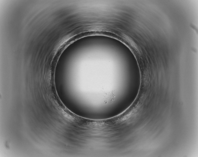 X0000096430831200801241336