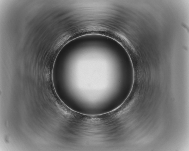 X0000096430833200801241336