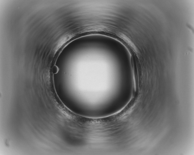 X0000096430834200801241336