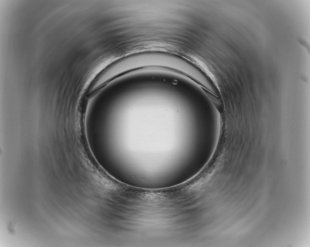 X0000096430835200801241336