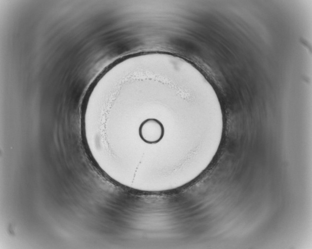 X0000096430836200801241336