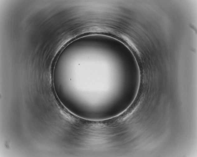 X0000096430837200801241336