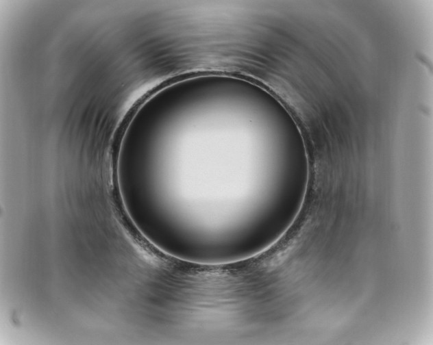 X0000096430838200801241337