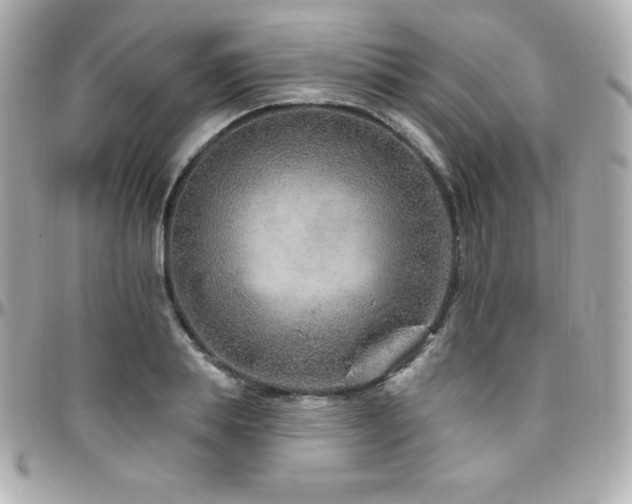 X0000096430839200801241337