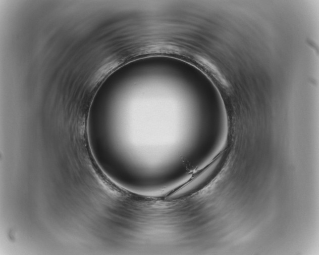 X0000096430841200801241337