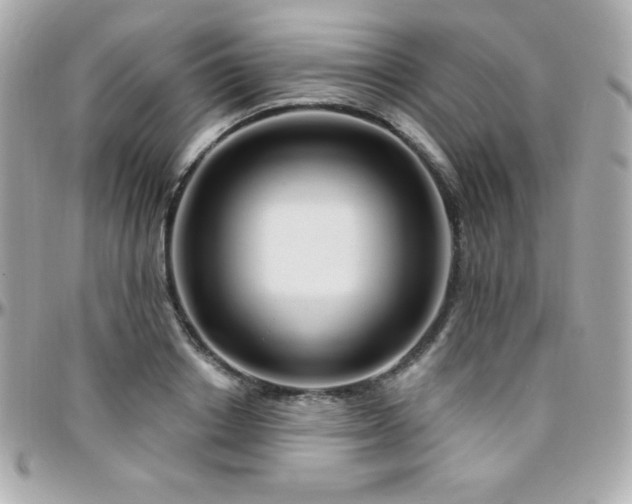 X0000096430842200801241337