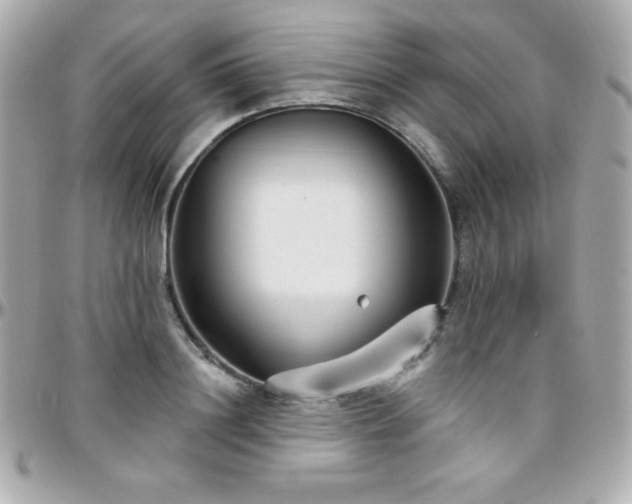 X0000096430844200801241337