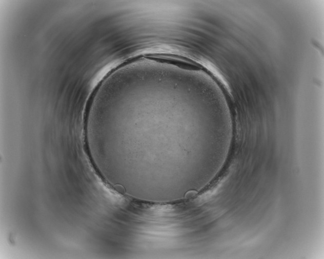 X0000096430845200801241337