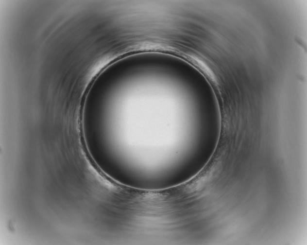 X0000096430847200801241337
