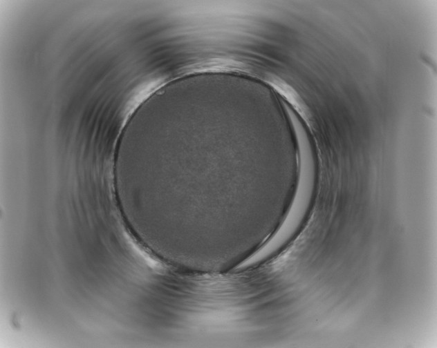 X0000096430850200801241337
