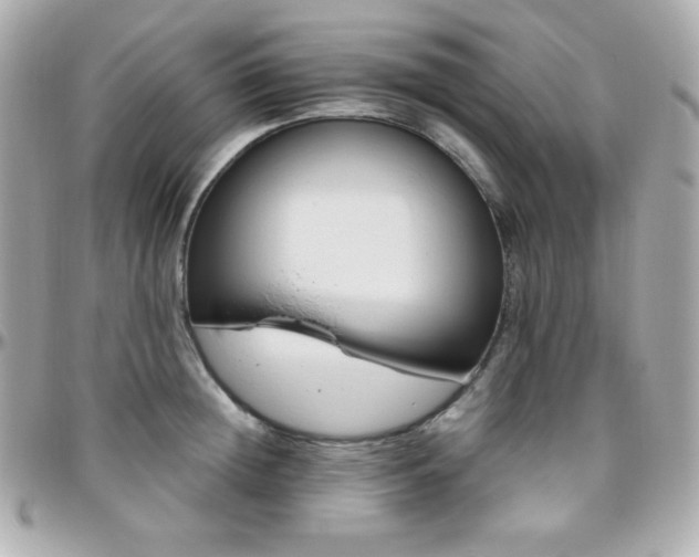 X0000096430852200801241337