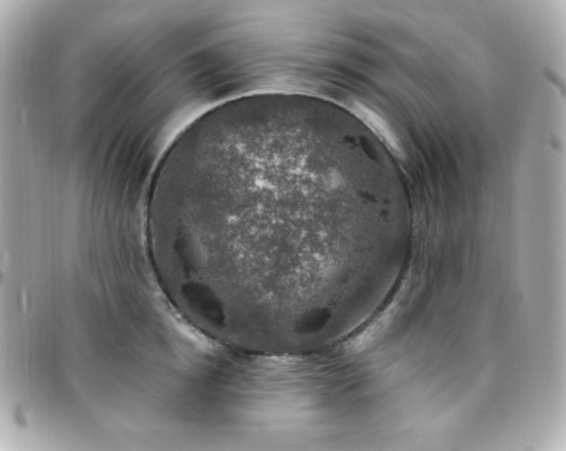 X0000096430854200801241337