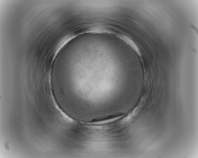 X0000096430855200801241337