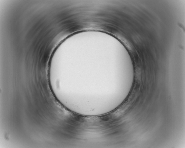 X0000096430856200801241337