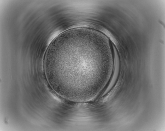 X0000096430858200801241337