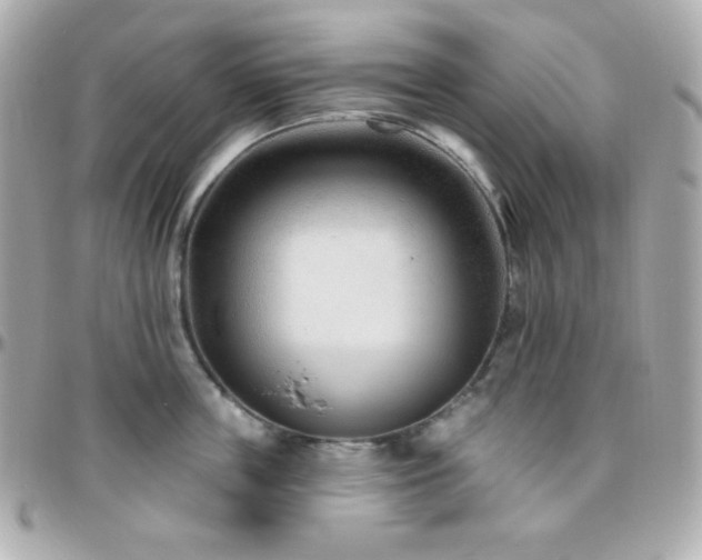 X0000096430859200801241337