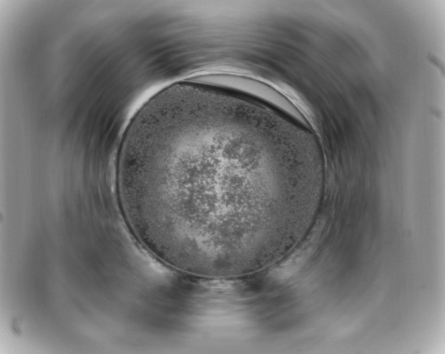 X0000096430862200801241337