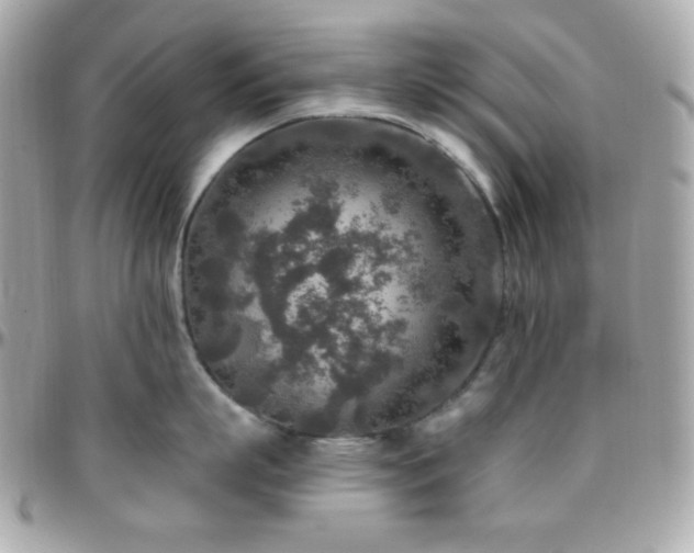 X0000096430863200801241337