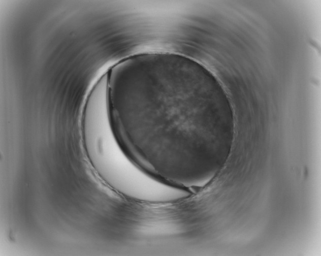 X0000096430864200801241337