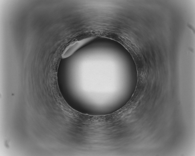 X0000096430865200801241336