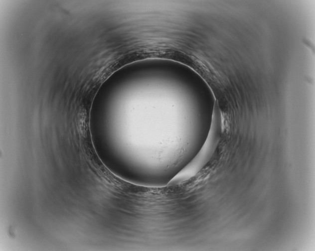 X0000096430867200801241336