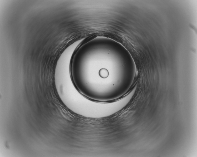 X0000096430868200801241336
