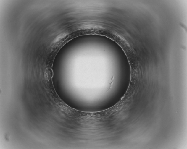 X0000096430869200801241336