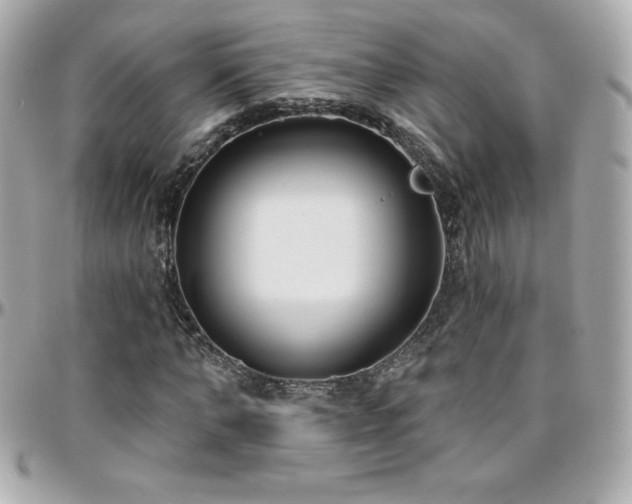 X0000096430870200801241336
