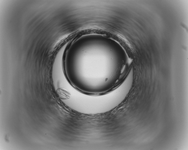 X0000096430872200801241336