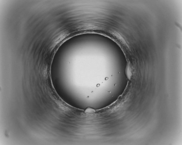 X0000096430873200801241336