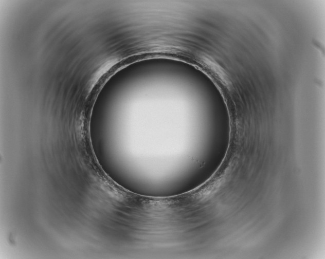 X0000096430875200801241336