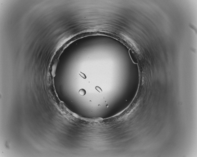 X0000096430876200801241336