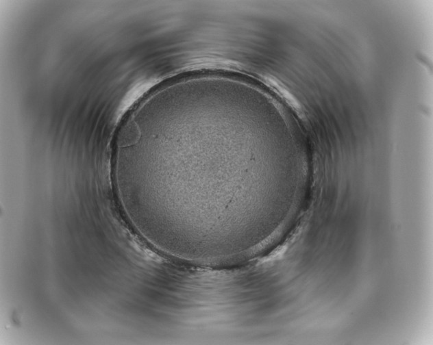 X0000096430877200801241336